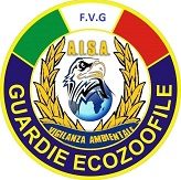 Aisa Udine